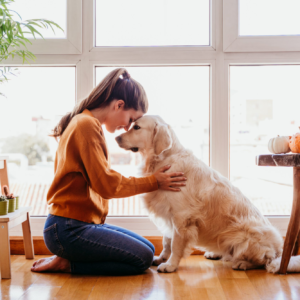 Curso de certificación de especialista en comunicación animal