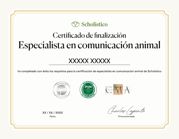 Scholistico Course Animal Communication Certificate Spanish