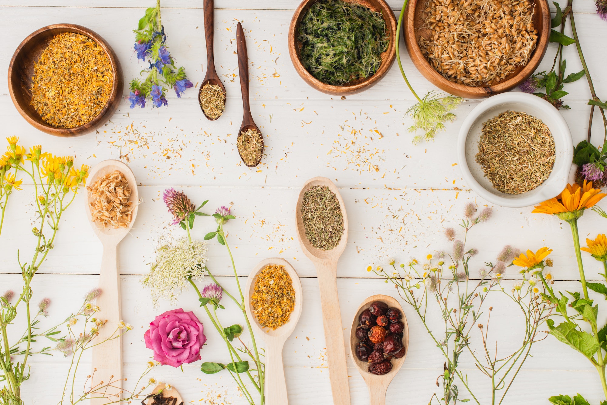 Introducción a la Naturopatía
