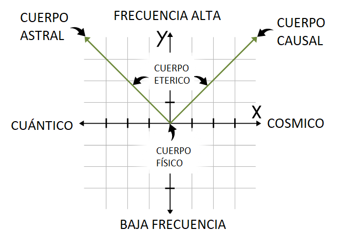 La meta anatomía del ser humano 3 image 2