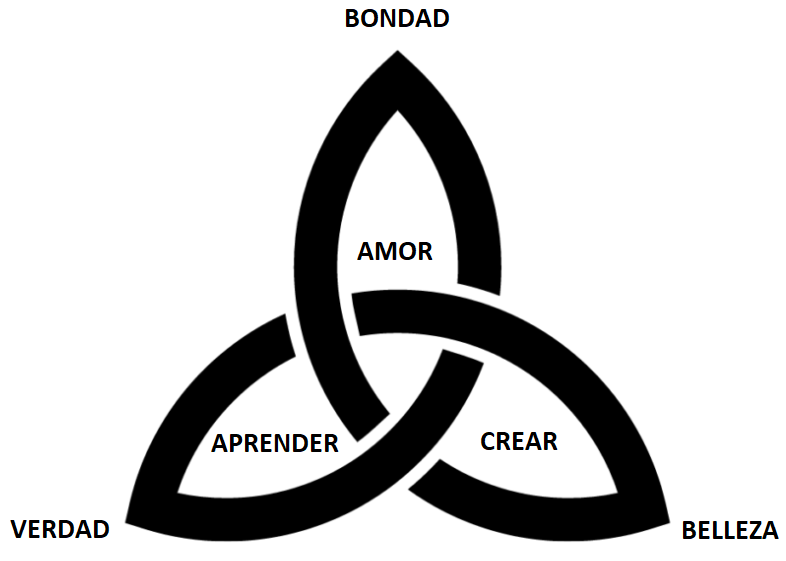 La meta anatomía del ser humano 4 image 3