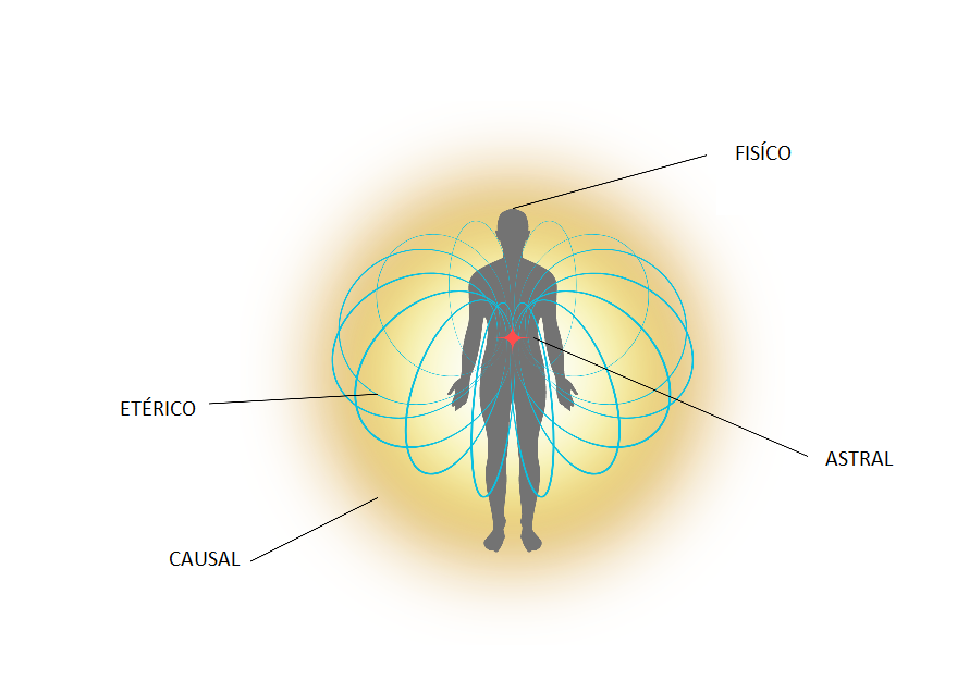 La meta anatomía del ser humano 2 image 4