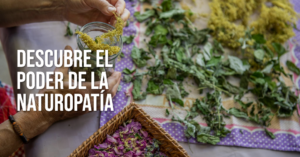 Descubre tu camino en la naturopatia