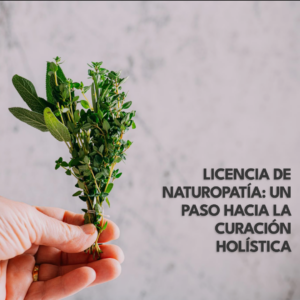 Naturopathy Licensure A Step Towards Holistic Healing 1