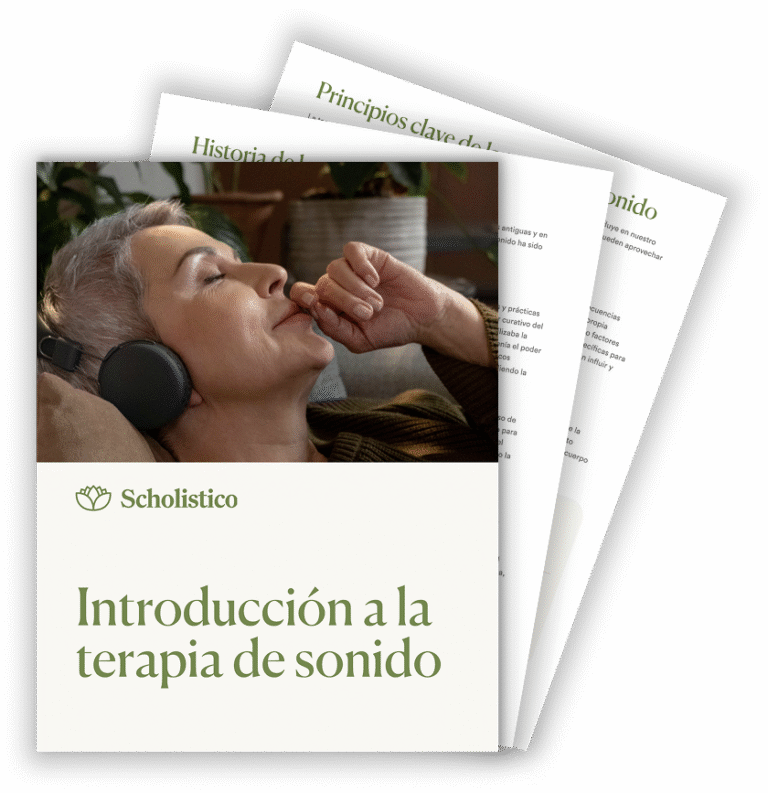 ES Introduction to STH Mockup