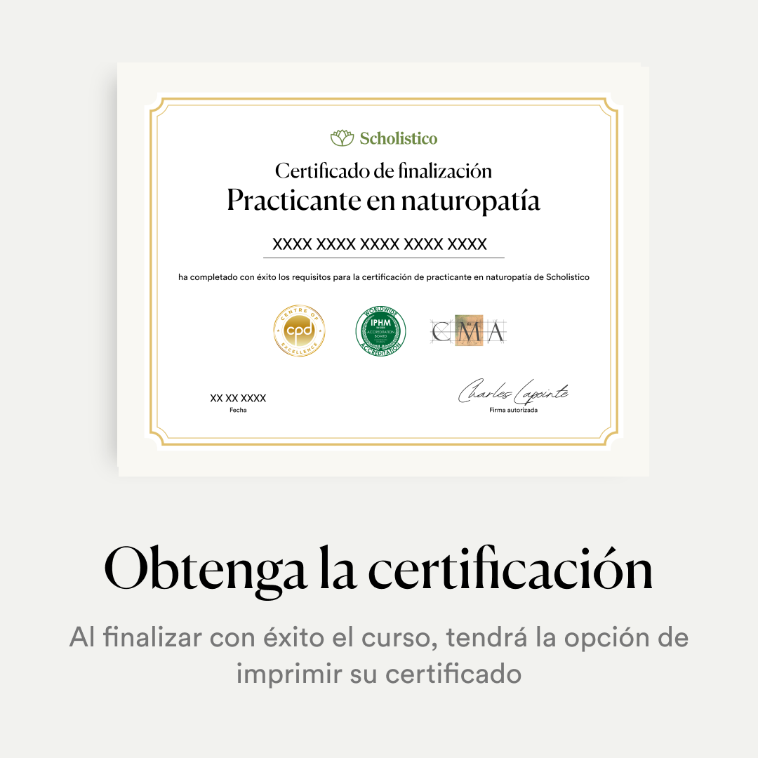New_ES_SP_Creatives_CTA (1)