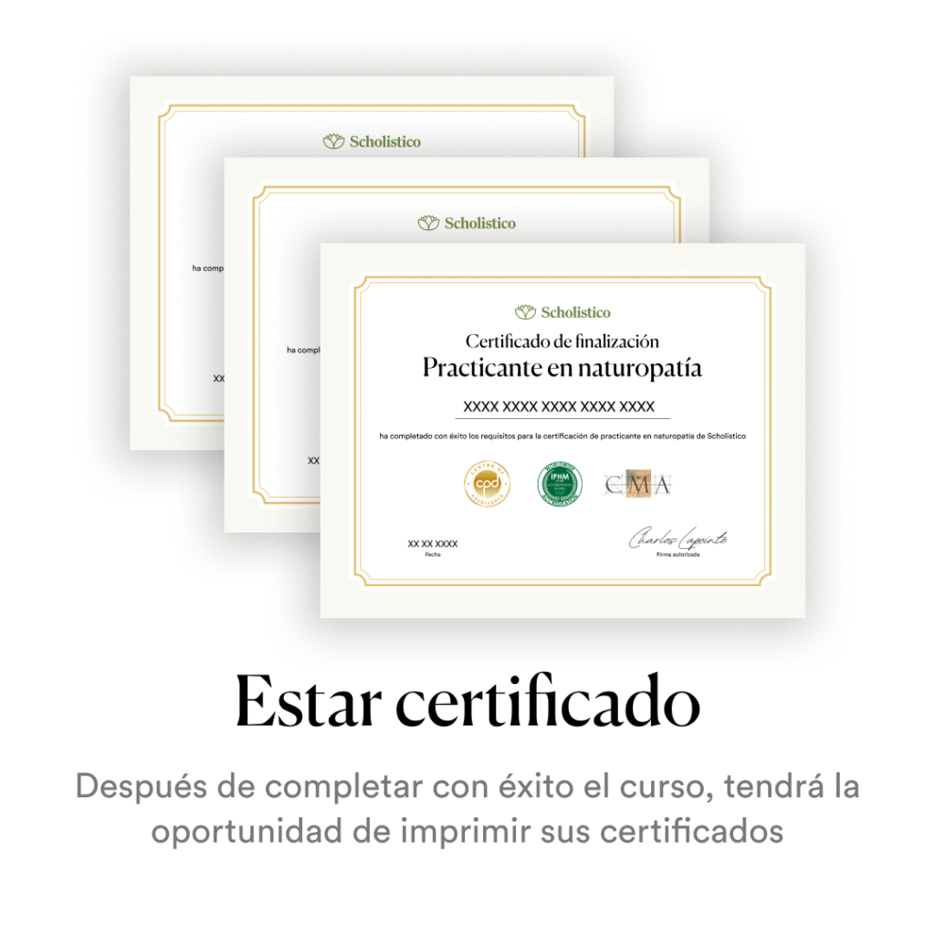 New_ES_SP_Creatives_CTA (8)